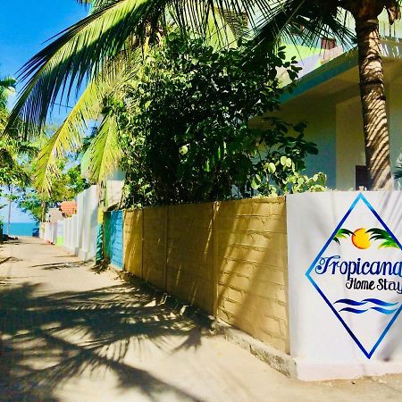 Tropicana Home Stay Arugam Kudah Eksteriør bilde