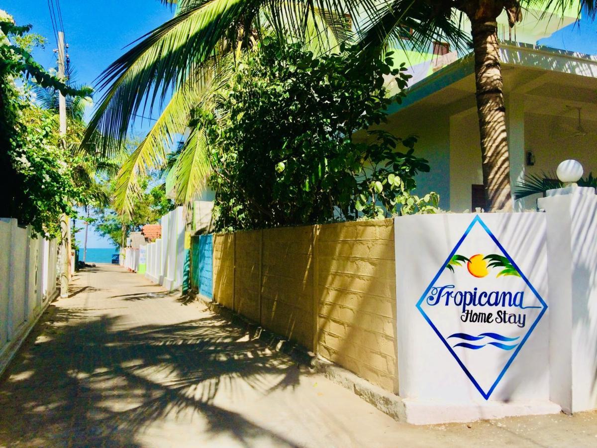 Tropicana Home Stay Arugam Kudah Eksteriør bilde