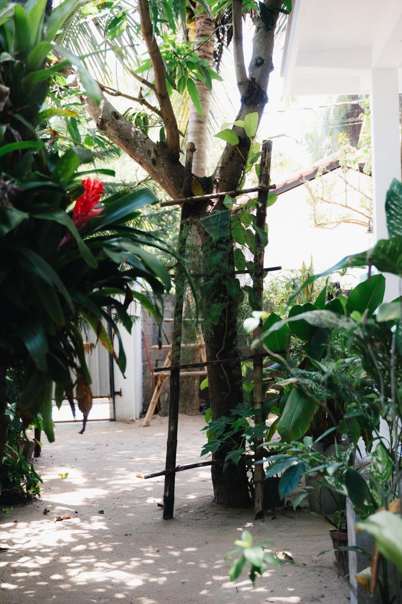 Tropicana Home Stay Arugam Kudah Eksteriør bilde