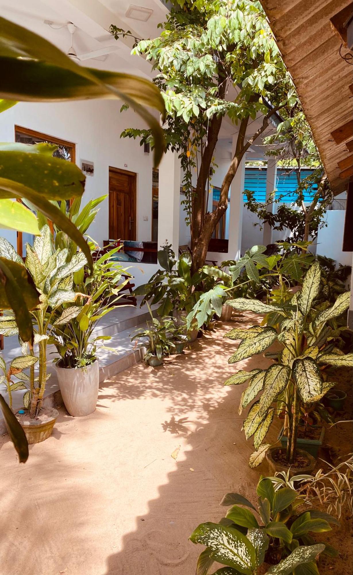 Tropicana Home Stay Arugam Kudah Eksteriør bilde